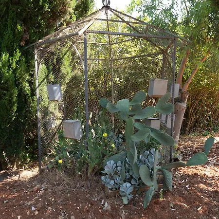Casal Del Borgo Hébergement de vacances Ostuni