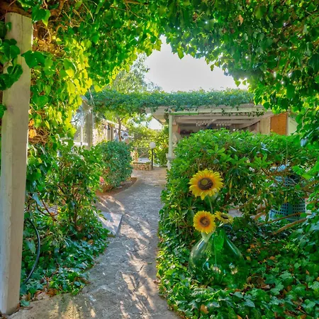 度假居 Casal Del Borgo