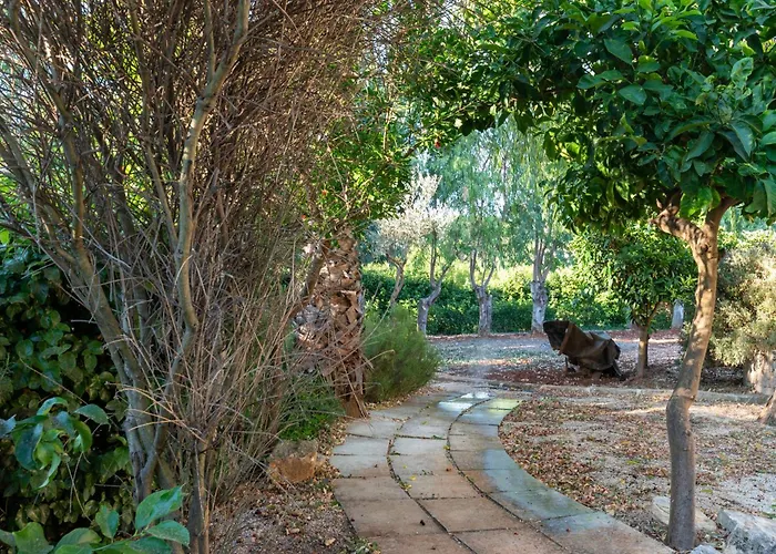 Casal Del Borgo אוסטוני